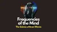 img of The Science of Brain Waves: Understand the Frequencies of the Mind