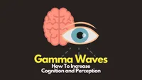 img of Gamma Waves: The Frontier of Cognitive Processing